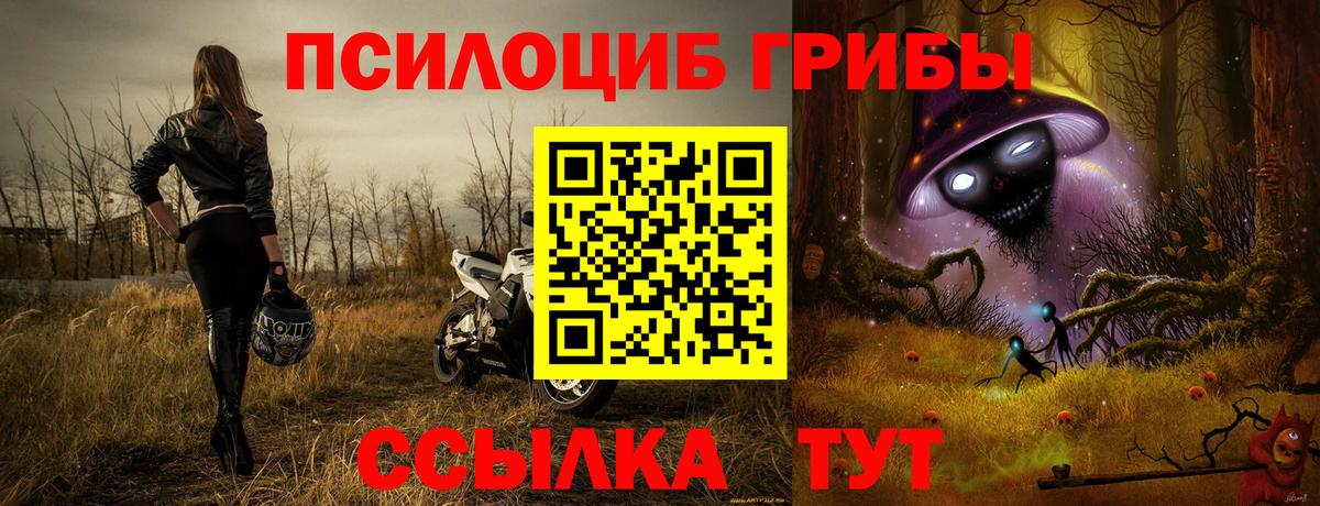 Москва  Псилоцибиновые грибы мицелий  Вход с VPN 